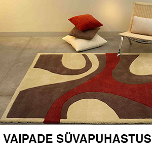 VAIPADE SÜVAPUHASTUS