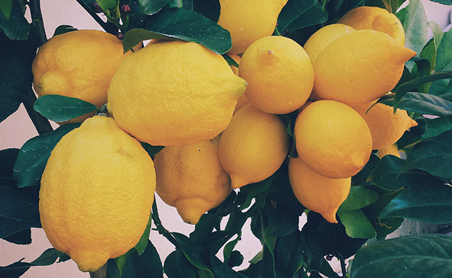 Kuidas sidruniga koristada?