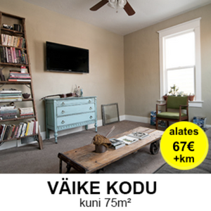 Väikse kodu koristus